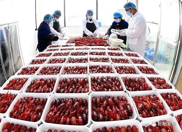 查看更多圖片 >"五一"小長假期間,盱眙縣蘇合鮑貢水產(chǎn)品銷售專業(yè)合作