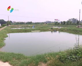 水產品藥殘損健康 養殖戶要把好安全關