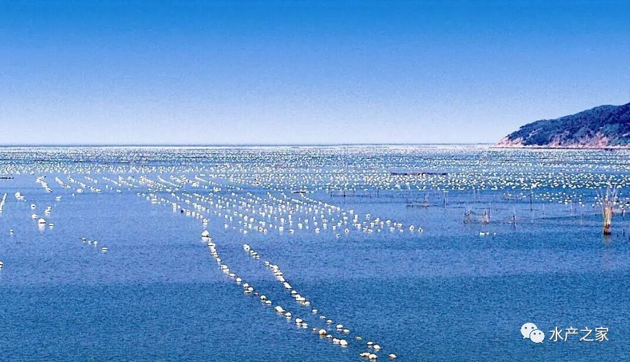 到 2030 年,我國或將有2000萬t水產品的缺口需要通過發展水產養殖來彌補?