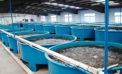 養殖水產技術
