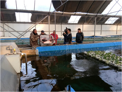透過央視看漁業:京城老魚背后的鄉村振興新賽道