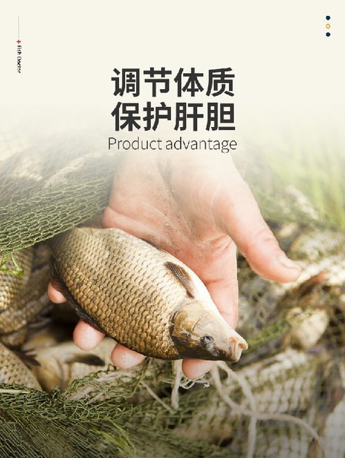 水產(chǎn)養(yǎng)殖用保肝藥供應(yīng)商,膽汁酸