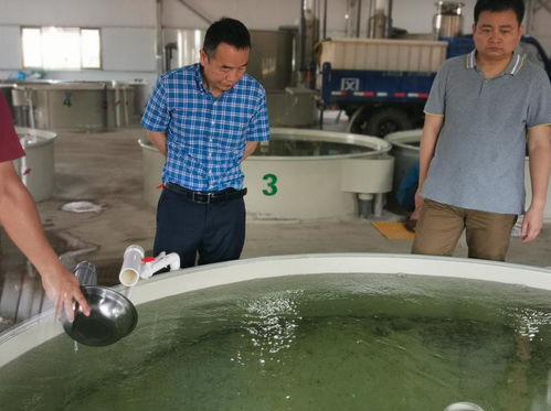 院士專家工作站 攜手 魚(yú)院士 ,打造水產(chǎn)種業(yè) 硅谷
