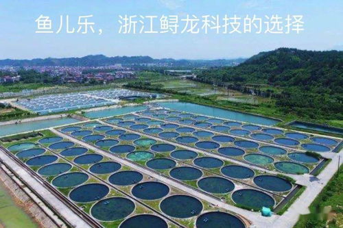 水產(chǎn)養(yǎng)殖業(yè)發(fā)展的4個(gè)階段你知道嗎