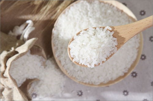 水稻行業(yè)至少有個袁隆平被世人知道,而水產(chǎn)養(yǎng)殖被無情地邊緣化了