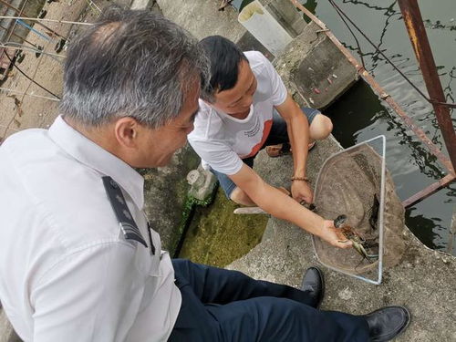 福建省廈門市海洋發(fā)展局二大隊(duì)開展水產(chǎn)品質(zhì)量安全檢查