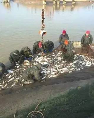 漁業(yè)管理進入“智能化” 養(yǎng)殖戶輕點鼠標就養(yǎng)魚