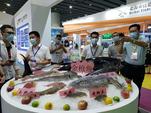 海水產(chǎn)品進內(nèi)陸系列活動在廣州啟航