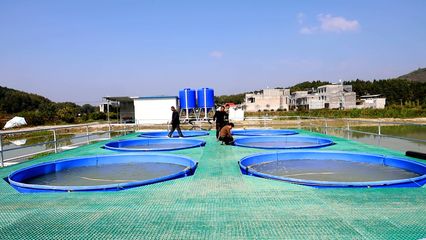 通城:科技“圈養” 打造水產養殖新生態