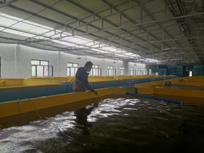 南疆首家工廠化循環水養殖基地在新和縣投入試運行