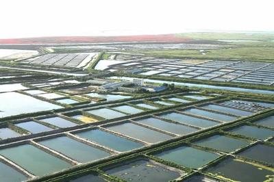 水產養殖的注意啦,尾水排放標準您需要了解一下