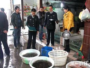 水產品質量安全如何保障
