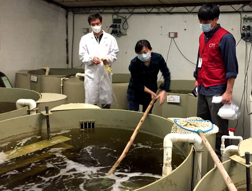 農技中心 市鎮聯合抽檢水產品 確保防疫監管兩不誤