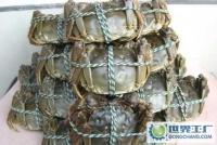 大湖蟹(雌、雄一級,淡水養殖)[供應]_鮮活水產品_世界工廠網中國產品信息庫