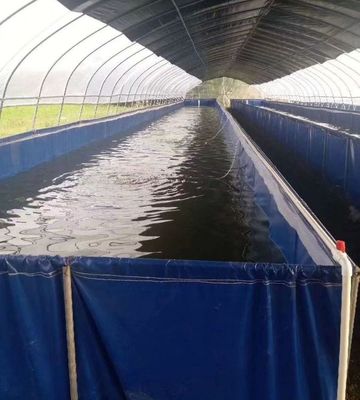 帆布鍍鋅板養(yǎng)殖池 結構穩(wěn)定 水產魚蝦養(yǎng)殖帆布池