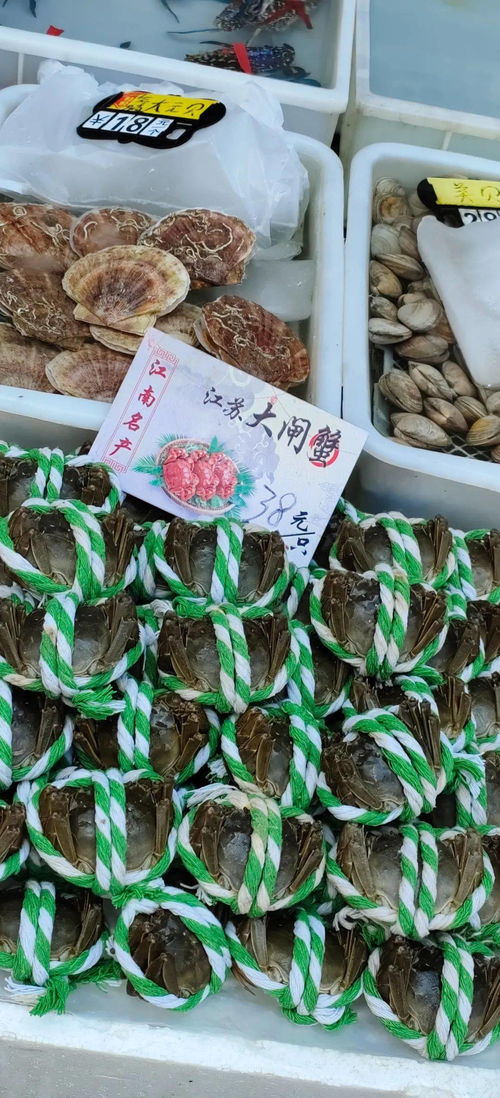 平靚正海鮮大量上市 廣州黃沙水產(chǎn)市場各類海鮮價格平穩(wěn)貨量充足