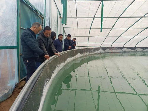 廣東 海南 福建 廣西養(yǎng)殖戶速速圍觀,這樣養(yǎng)石斑,賺5萬 畝