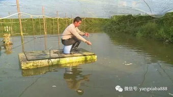 賺錢有道 水產(chǎn)養(yǎng)殖選項目有講究,想年入百萬得這么選