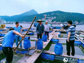 福建省持續(xù)開展水產(chǎn)品檢測 確保水產(chǎn)品質(zhì)量安全