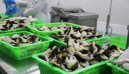 這個小眾水產(chǎn)品養(yǎng)殖從業(yè)者超60萬人,專門餐飲店超2000家,預(yù)制菜成就銷量猛增!