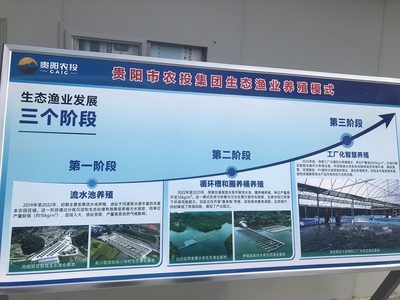 貴州現(xiàn)代漁業(yè)集團:數(shù)字賦能智慧生態(tài)漁業(yè)發(fā)展