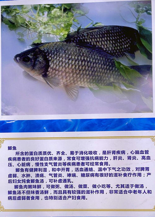 大荔有個 黃河水產(chǎn)館 ,為全省面積最大基地