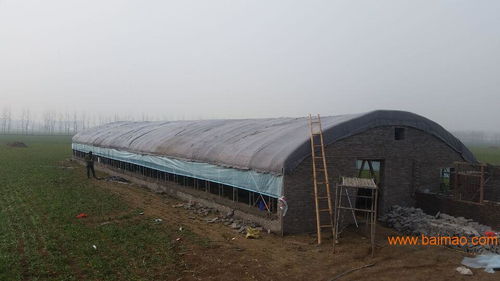 鄭州養(yǎng)殖大棚籌建廠家育苗大棚建造設(shè)計(jì)方案,鄭州養(yǎng)殖大棚籌建廠家育苗大棚建造設(shè)計(jì)方案生產(chǎn)廠家,鄭州養(yǎng)殖大棚籌建廠家育苗大棚建造設(shè)計(jì)方案價(jià)格