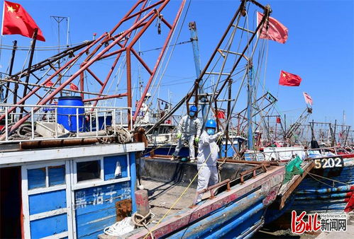 河北唐山 千帆追 鮮 開(kāi)捕 電力貼心護(hù)航